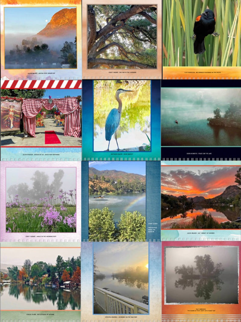 The winning photos my month.